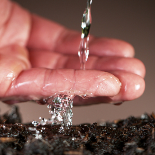 The Vital Role of Good Drainage