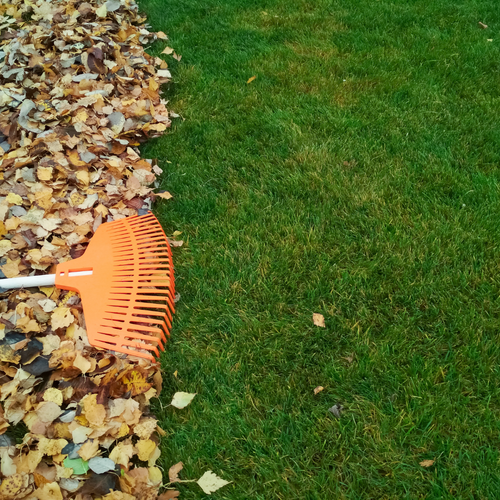 The Secret to Fall Lawn Perfection: 7 Easy Steps to Follow
