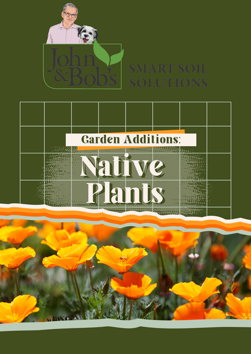 Garden Additions: Native Plants