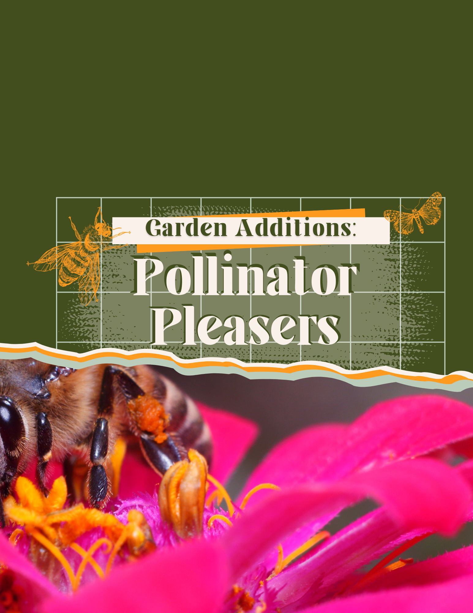 Garden Additions: Pollinator Pleasers – John and Bob's