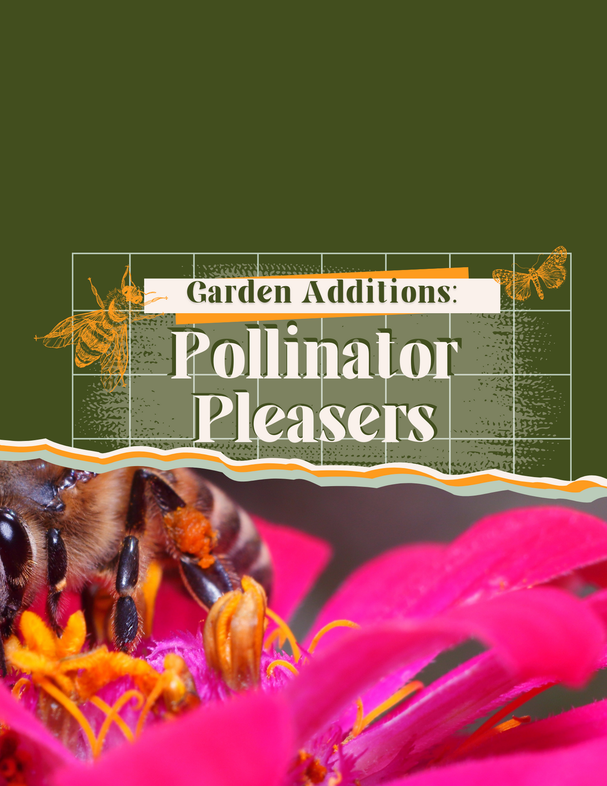 Garden Additions: Pollinator Pleasers