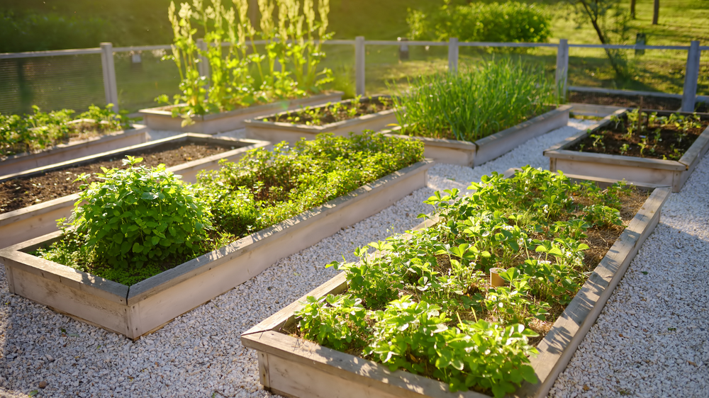 How To Fill Raised Garden Beds and Containers