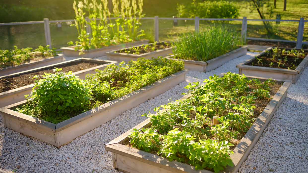 How To Fill Raised Garden Beds and Containers