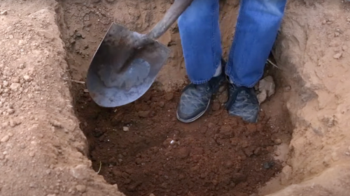 4 Common Gardening Tips You Should Avoid!