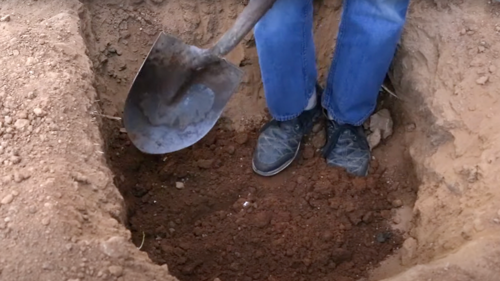 4 Common Gardening Tips You Should Avoid!