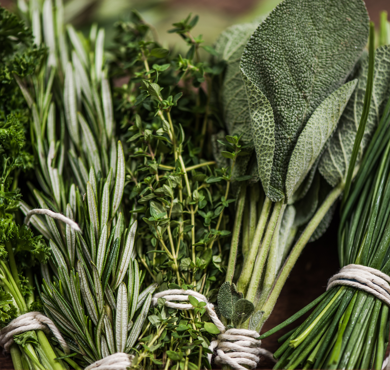 Herb Lover: 10 Herbs to Grow in YOUR Garden