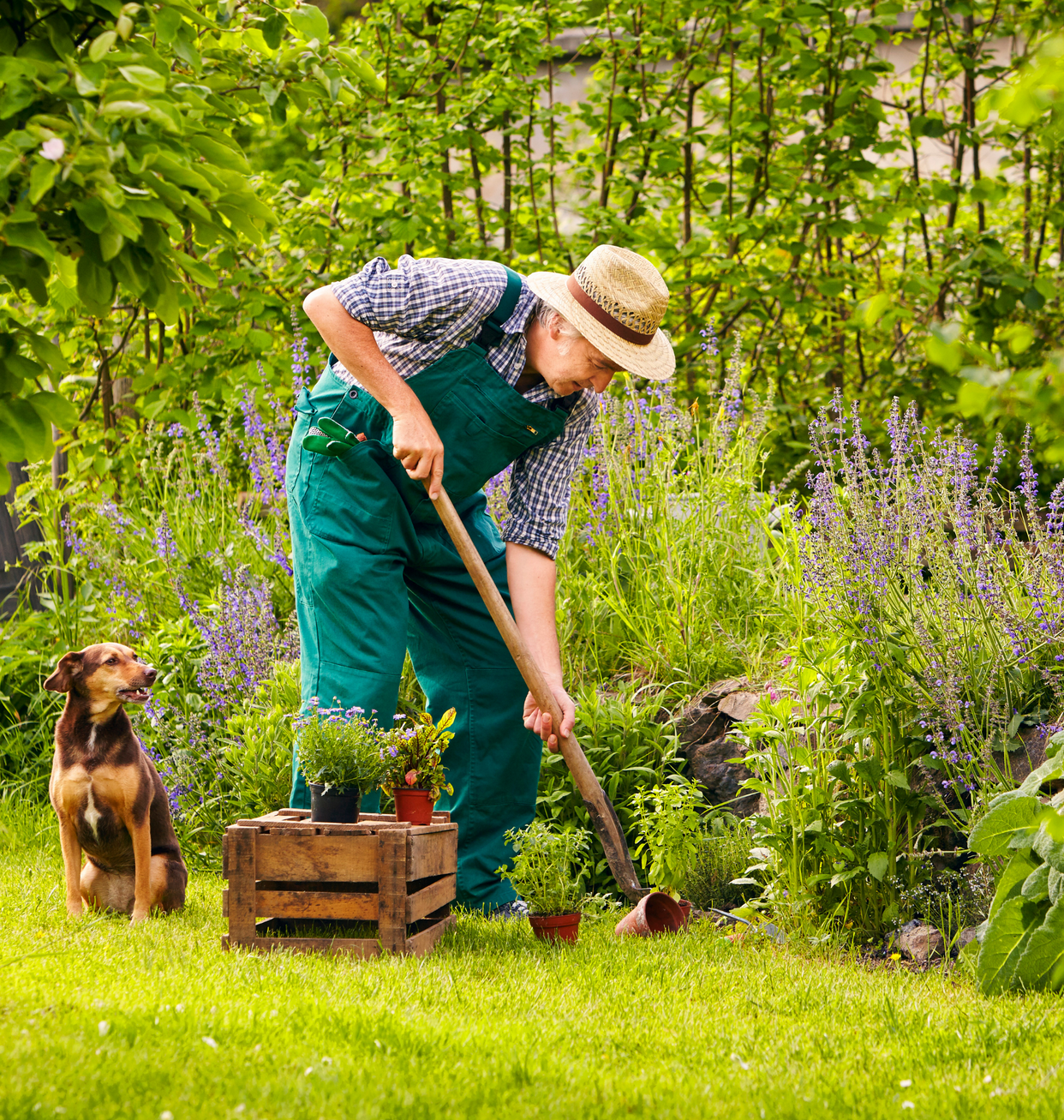 Pet’s Choice: John & Bob’s Smart Soil Solutions