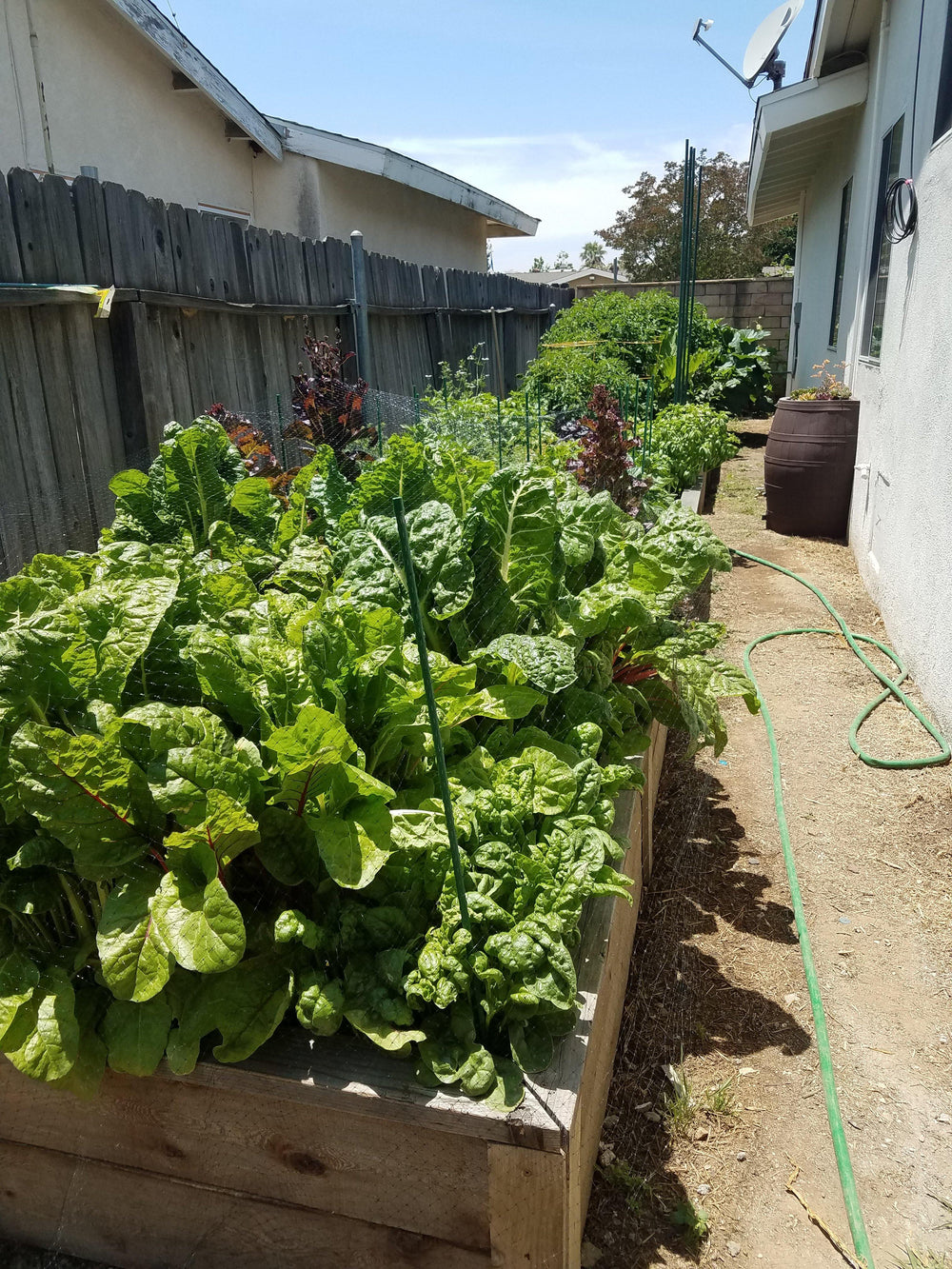 …a bountiful garden. - John & Bob's