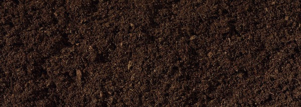 Organic Soil